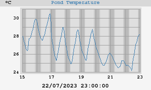 Pond Temperatures