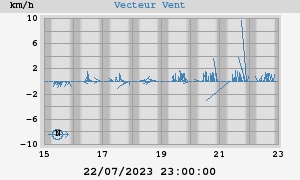 Wind Vector